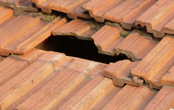 roof repair Corpusty, Norfolk